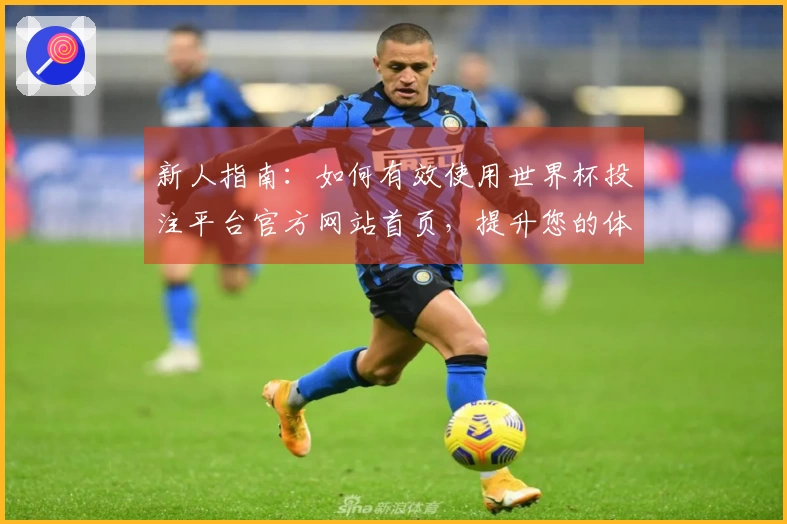 新人指南：如何有效使用世界杯投注平台官方网站首页，提升您的体育直播体验