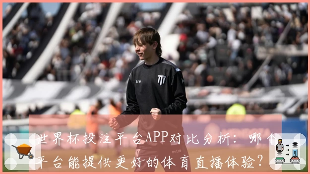 世界杯投注平台APP对比分析：哪个平台能提供更好的体育直播体验？
