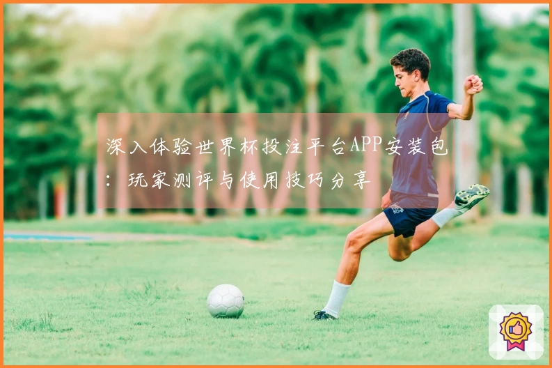 深入体验世界杯投注平台APP安装包：玩家测评与使用技巧分享