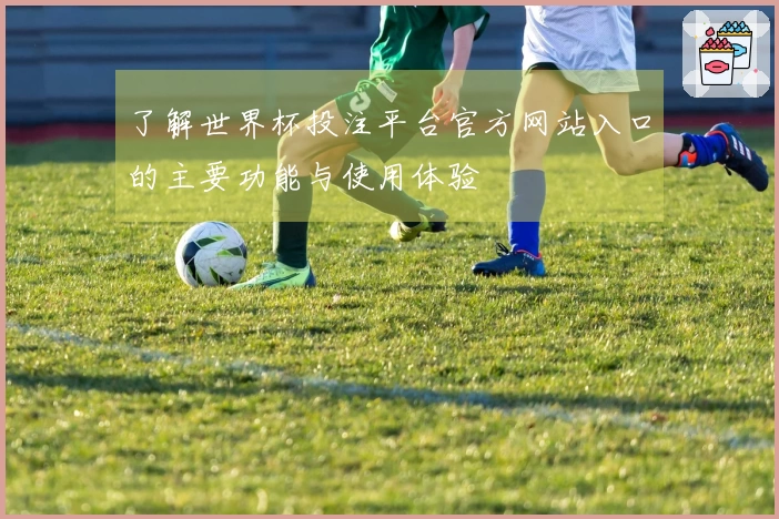 了解世界杯投注平台官方网站入口的主要功能与使用体验