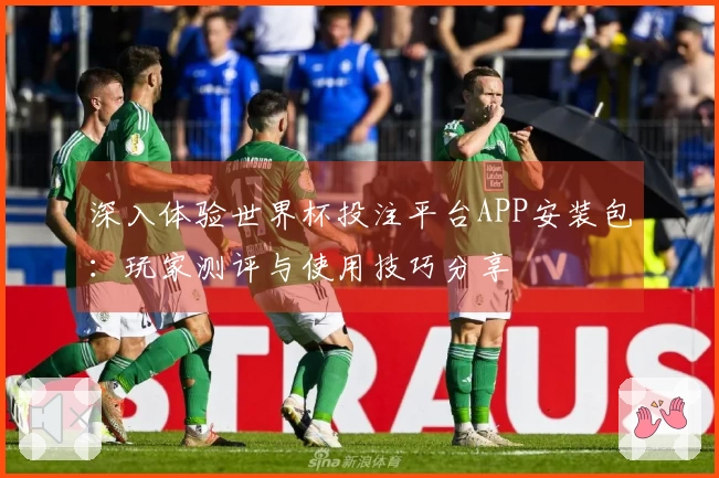 深入体验世界杯投注平台APP安装包：玩家测评与使用技巧分享