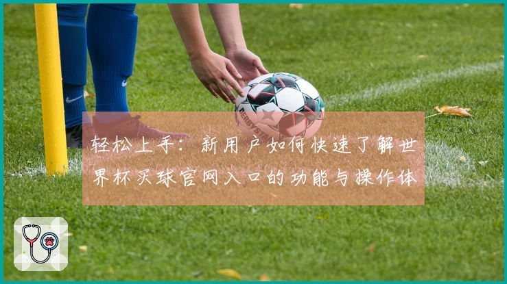轻松上手：新用户如何快速了解世界杯买球官网入口的功能与操作体验